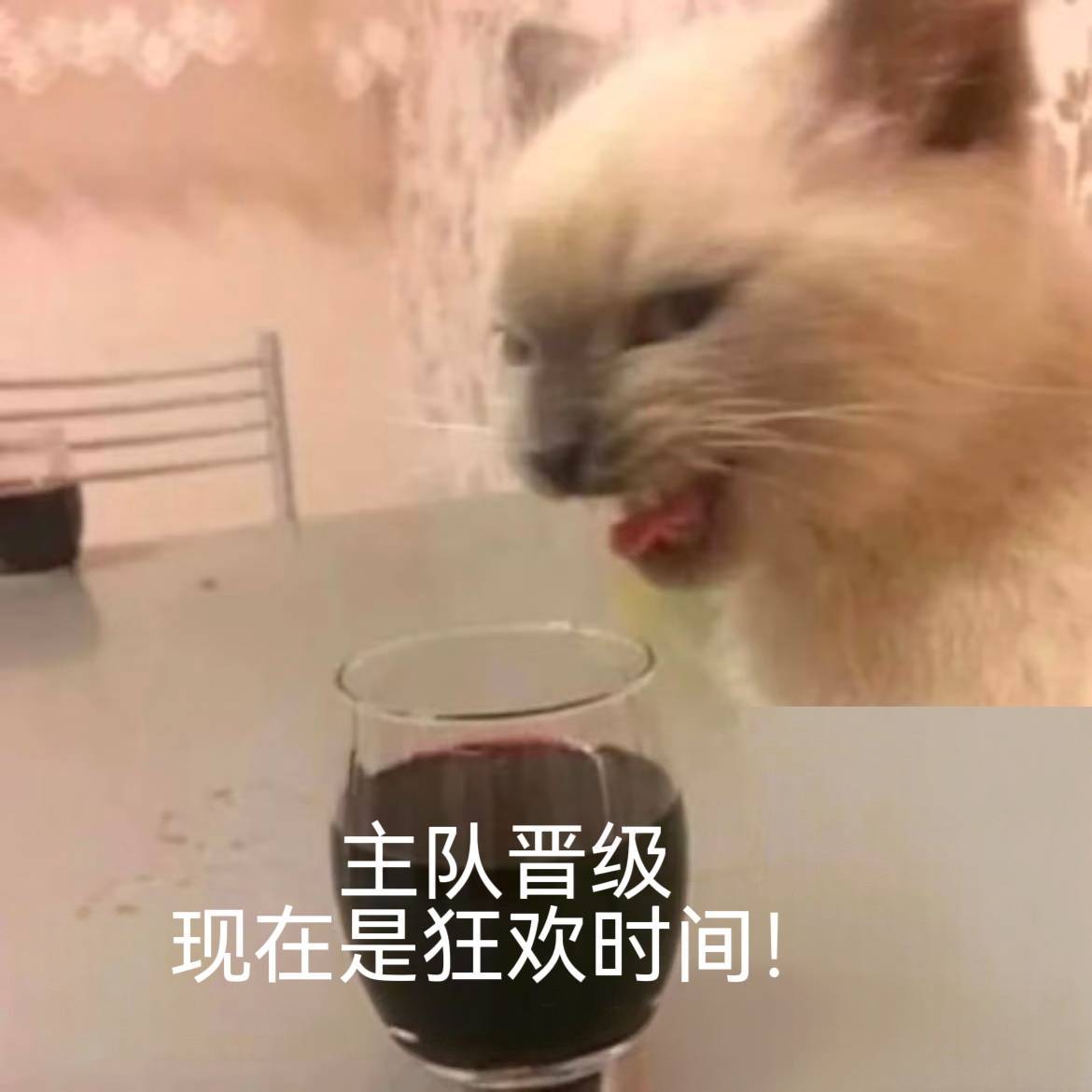 佛得角出线佛得角0比0沙特天呐这个我第一次听说的国家真的黑马！！！大中午也要举杯
