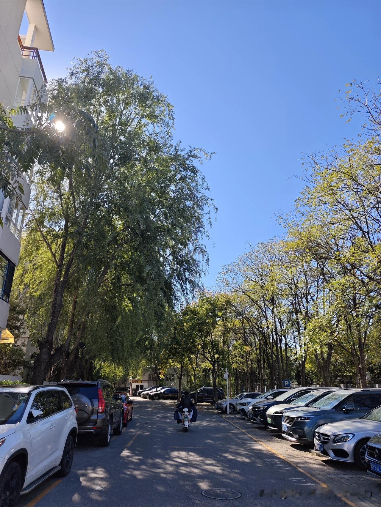 十月的北京，把澄澈的蓝天铺在城市上空，是独属于金秋的透亮清爽。阳光穿过枝叶，在人