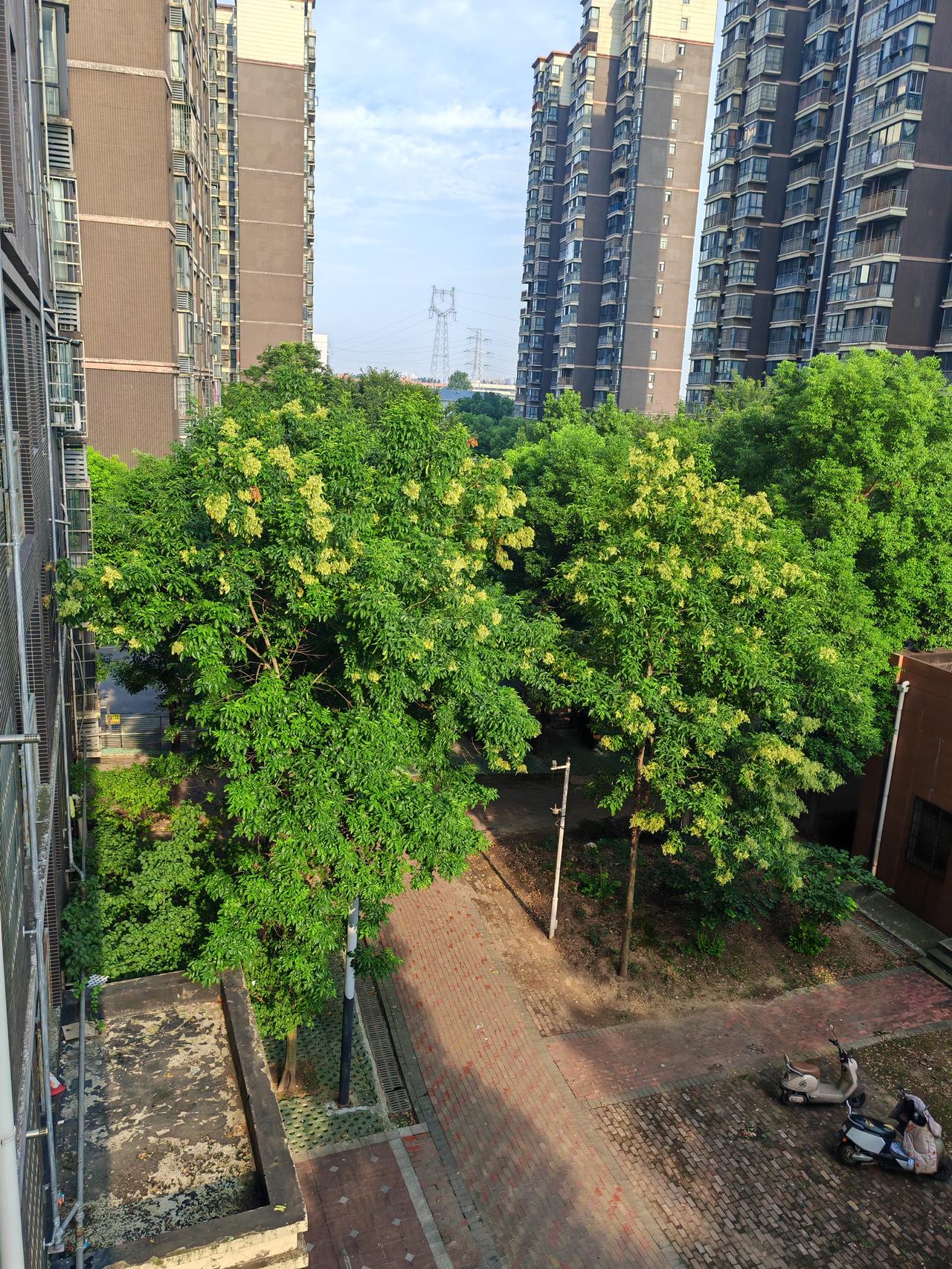 7月26日，武汉多云转阴有雨，高温黄色预警，最高气温34度，最低气温25度，东风
