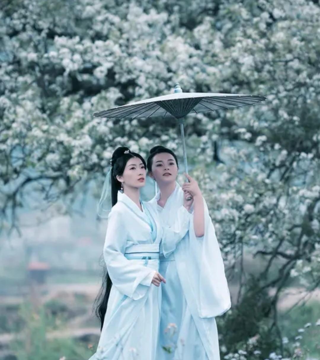 上联，？？？

下联，瓣落青衫似雪飘，梨花