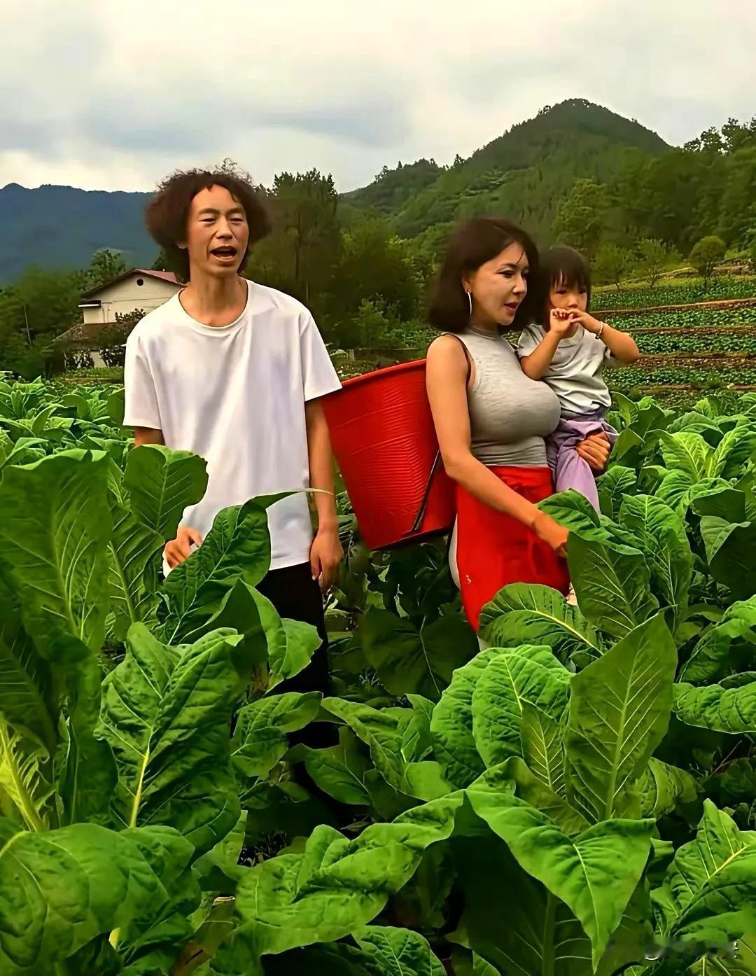 他们在菜田里歌唱
他们说着父亲和瓦匠
他们鄙视着世人的眼光
他们呼吸着彼此爱的芬