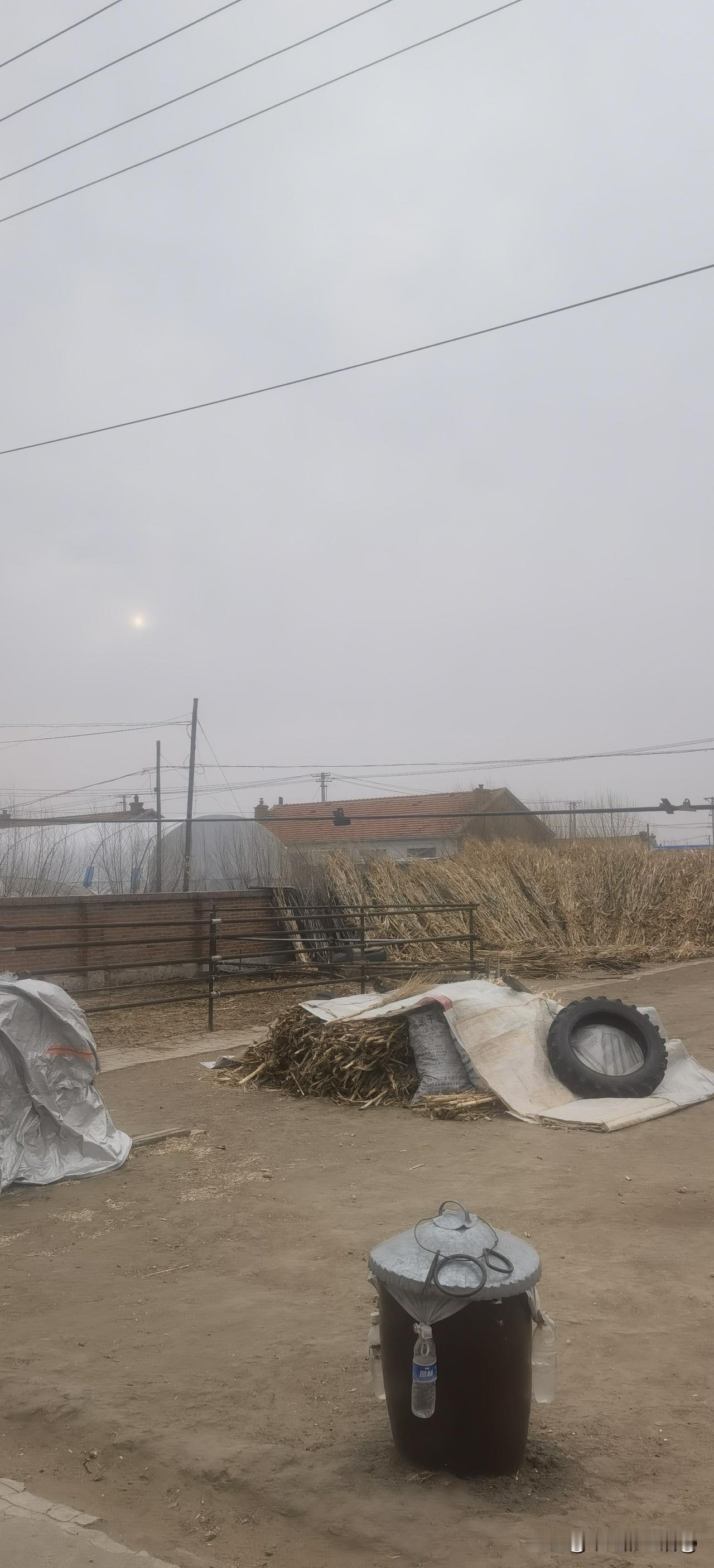 晒出你的本地生活今天下雨了。雨下得不大。刚刚湿地皮。我就佩服东哥。外面下雨，人家