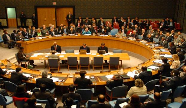 国会召开了一场关于联合国改革的专项听证会，参与人员包括委员会成员和联合国事务专业