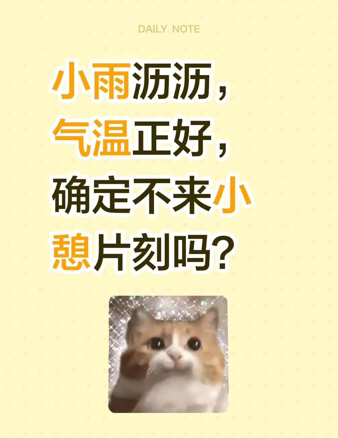 小雨沥沥，气温正好，确定不来小憩片刻吗？降温降雨天气 小雨天气翻唱 中雨天气 下