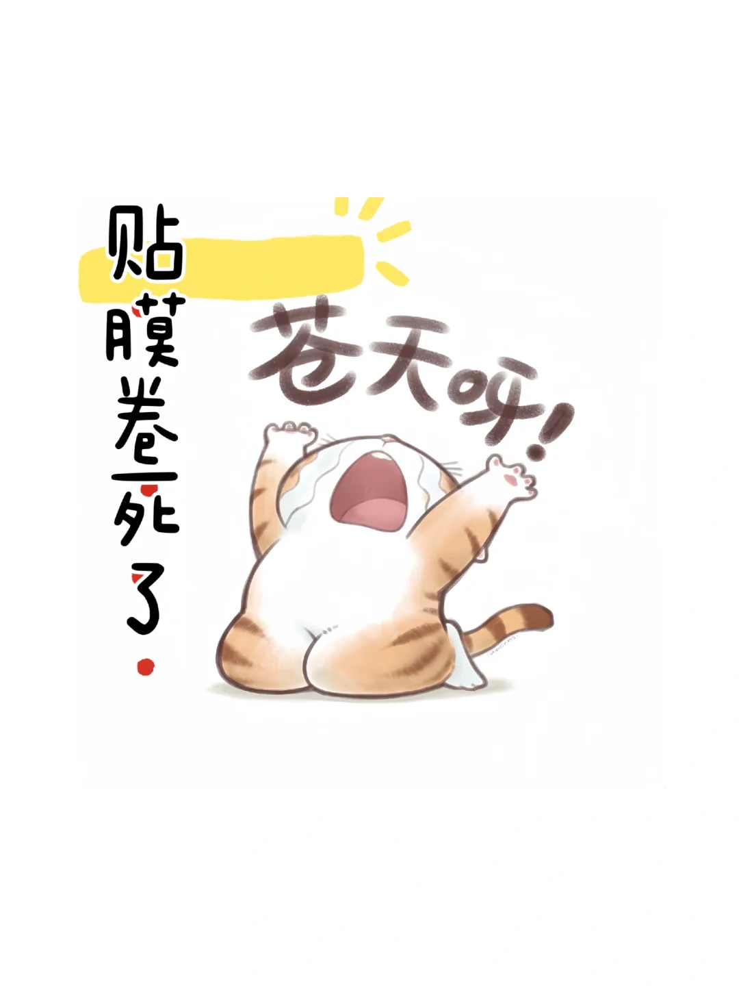 🎨CYS  | 裂变系列 深圳境内3500 包工包料