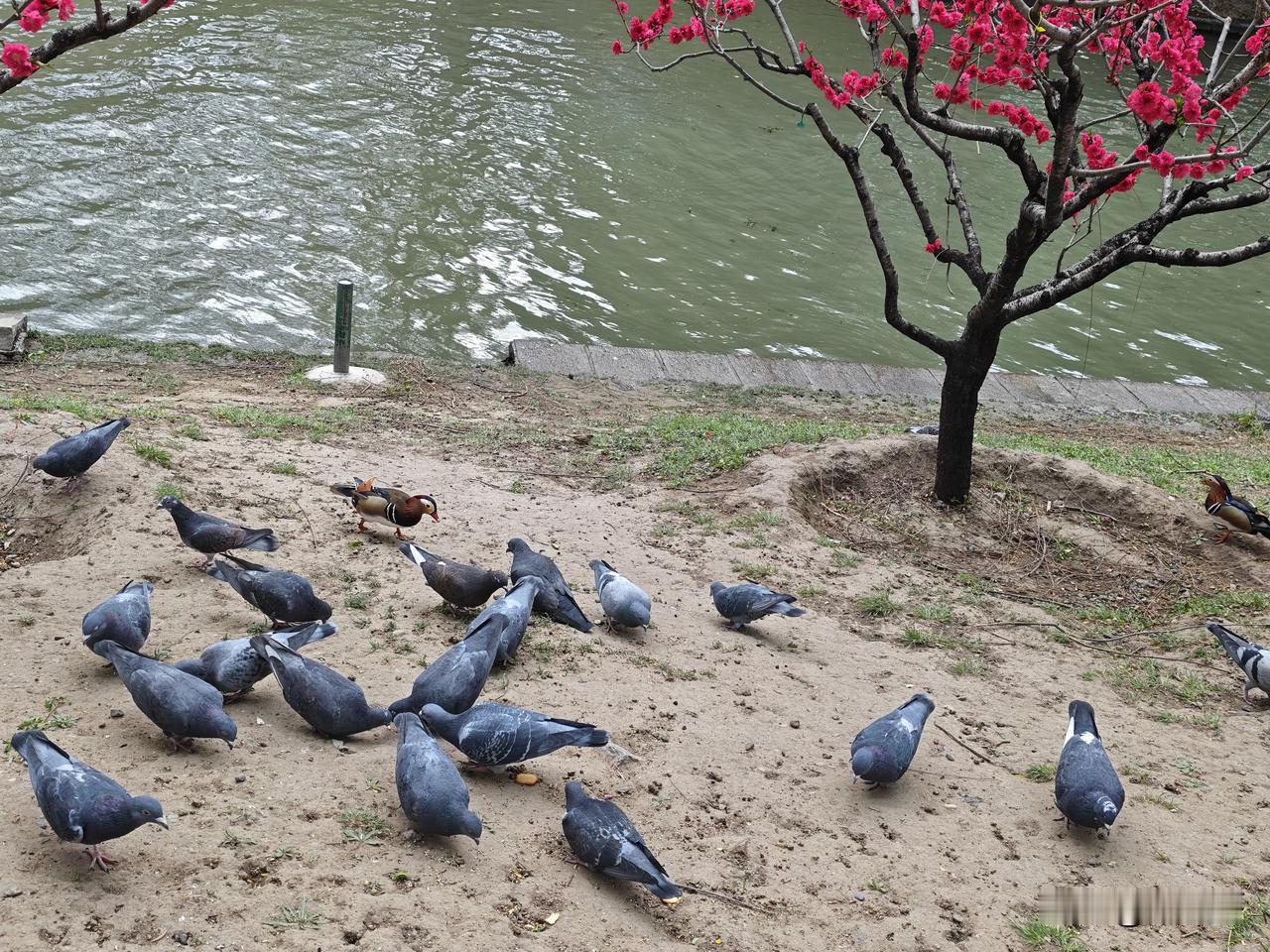 选择大于努力，且在自己擅长的领域长久经营成为行家，方能立于不败之地。人生让你越来