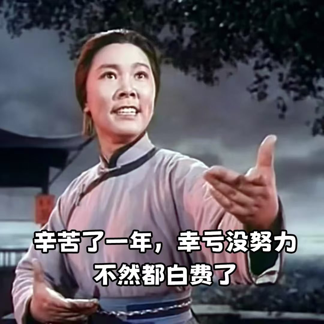 2025新年快乐 2024我过得还不错2025加油顺利为福，好运加持🍀 
