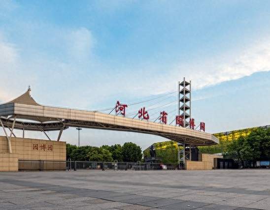 杀疯了！孙颖莎回乡封神！河北运会名场面刷屏，这才是国民顶流