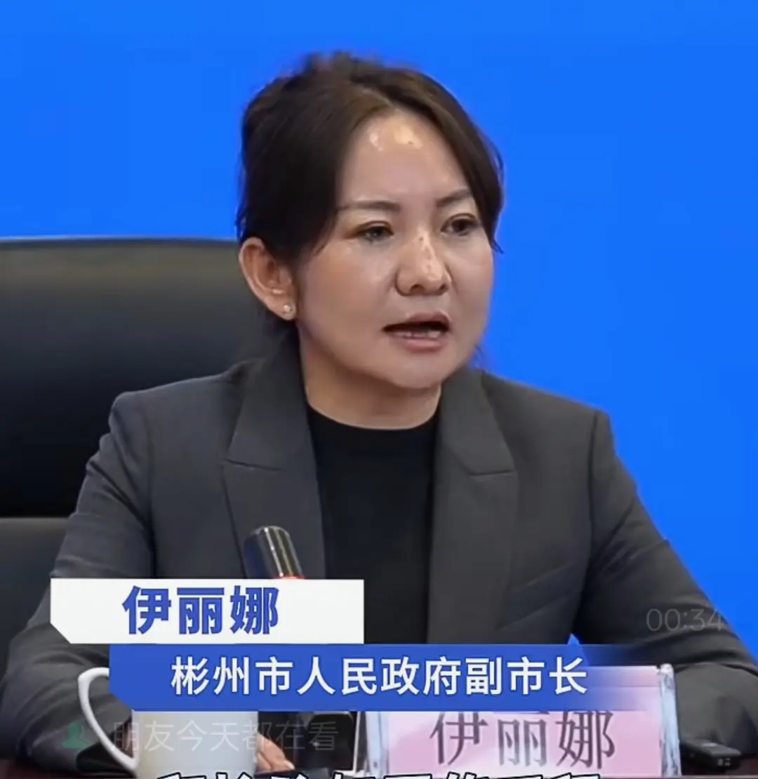 彬州市人民政府副市长伊丽娜。