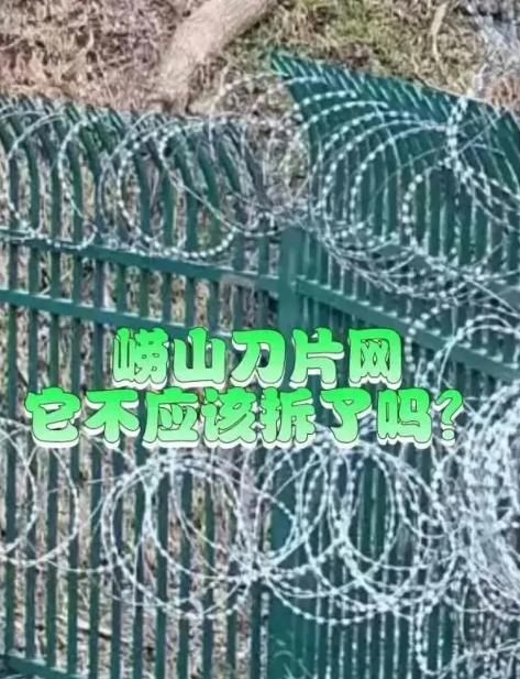 “刀片网”正成为山东景区特殊标志，青岛崂山被爆料装有同款铁丝网！

网友们似乎都