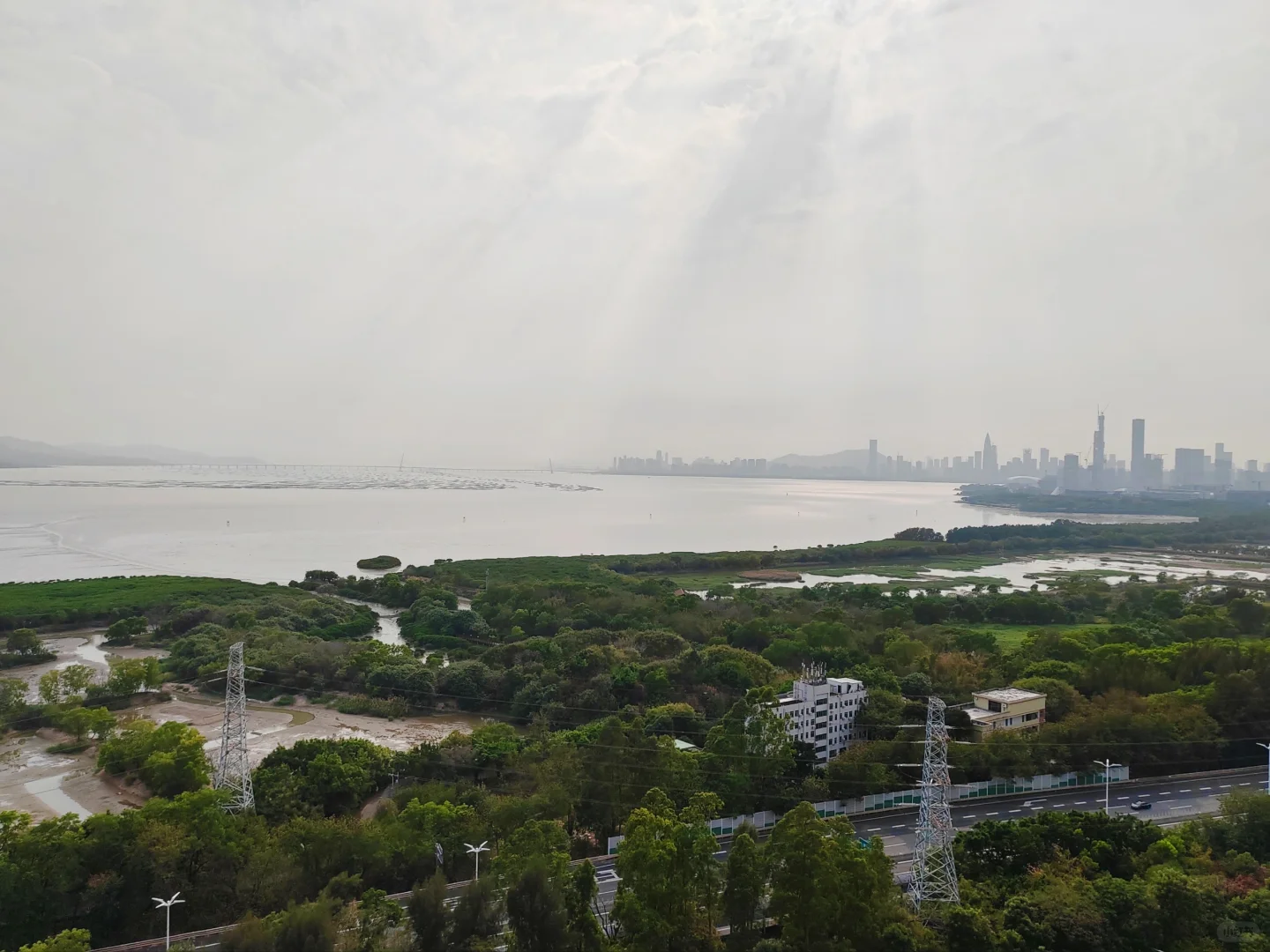 在沙发🛋️上看到红树林，真的太爽了吧