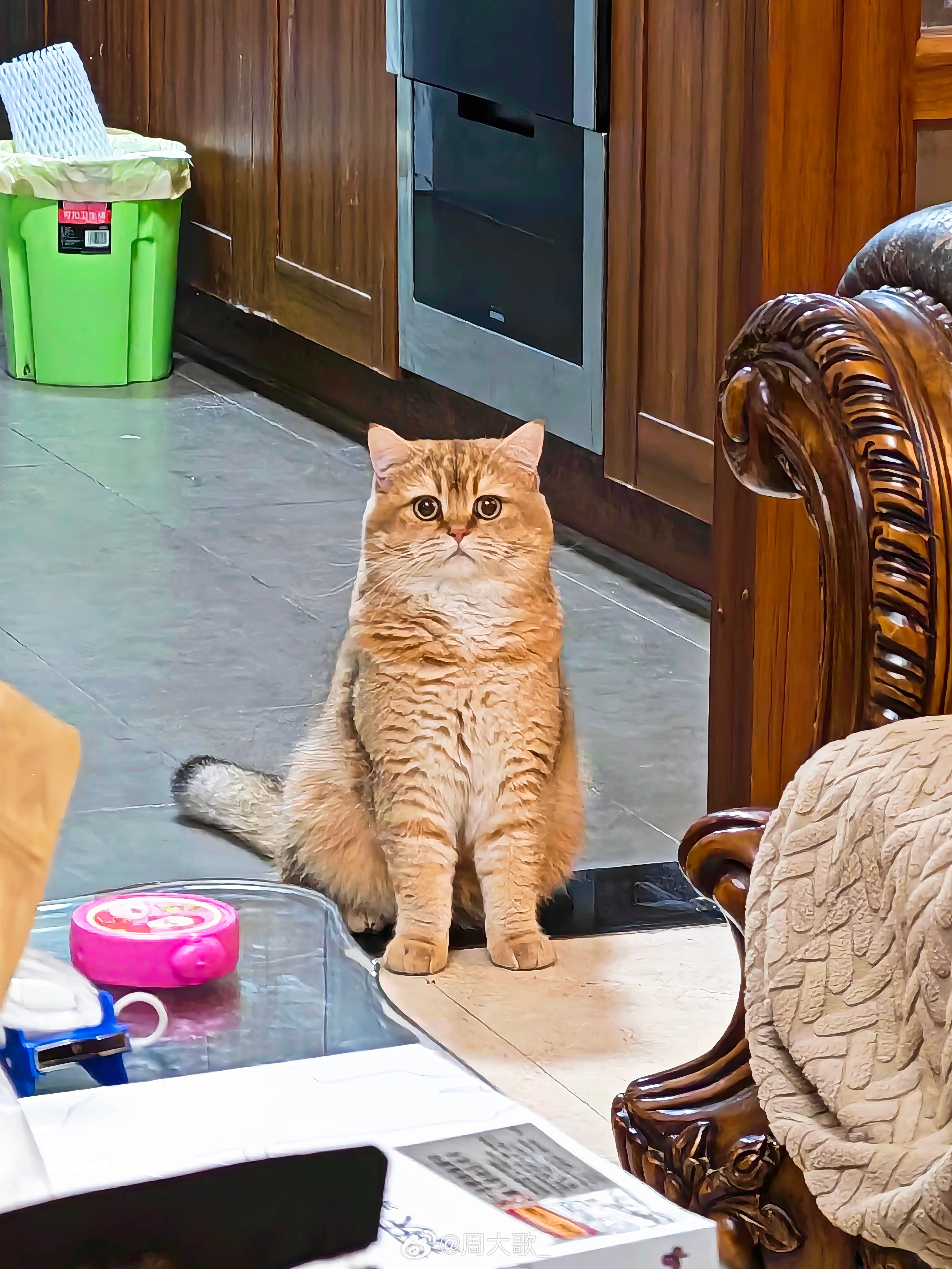 今年生日很快乐🎂连吃2天还有不同的蛋糕4寸这个尺寸简直太合适了～两只可爱喵为我