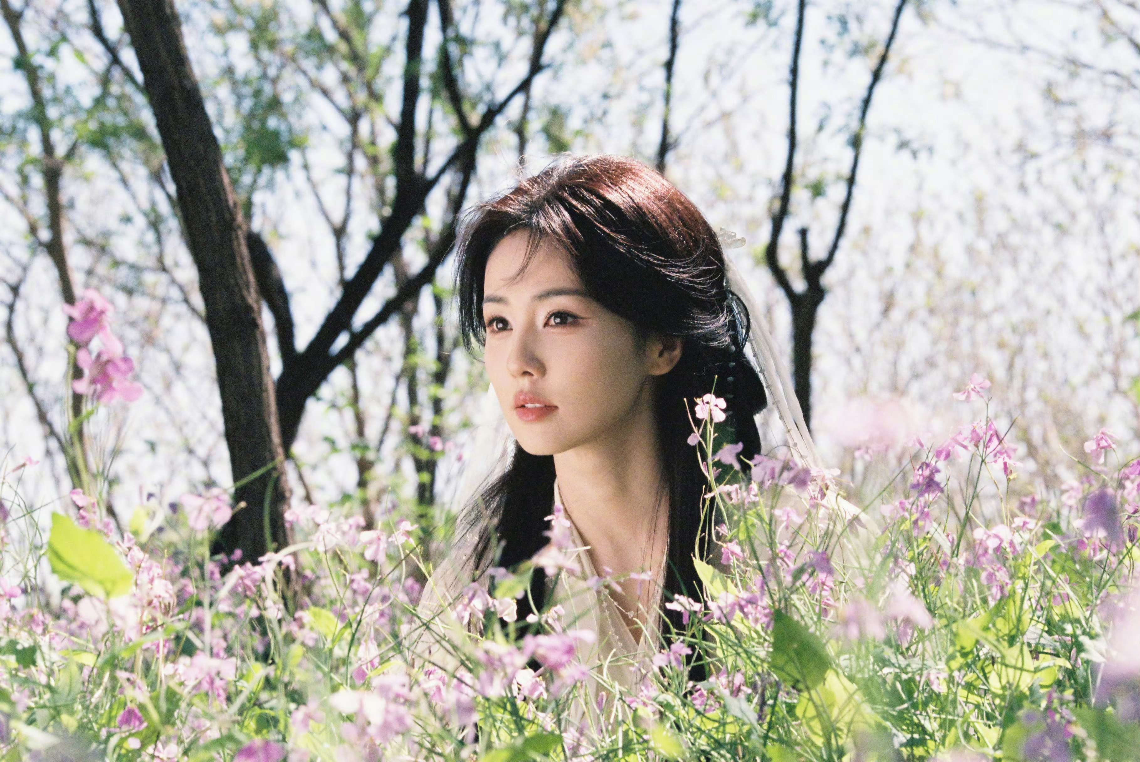 橘子早安趴 花仙子🌸白鹿[超话] ​​​