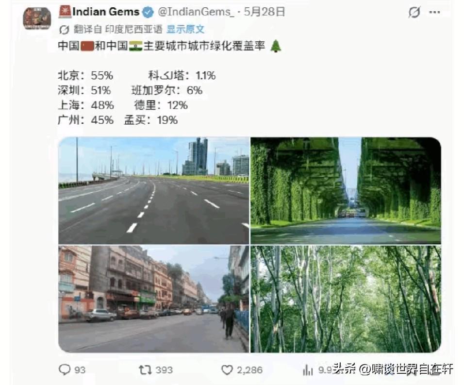 印度自取其辱！
你说比什么不好，
非要比城市绿化覆盖率！
这下好了，
我们最弱的