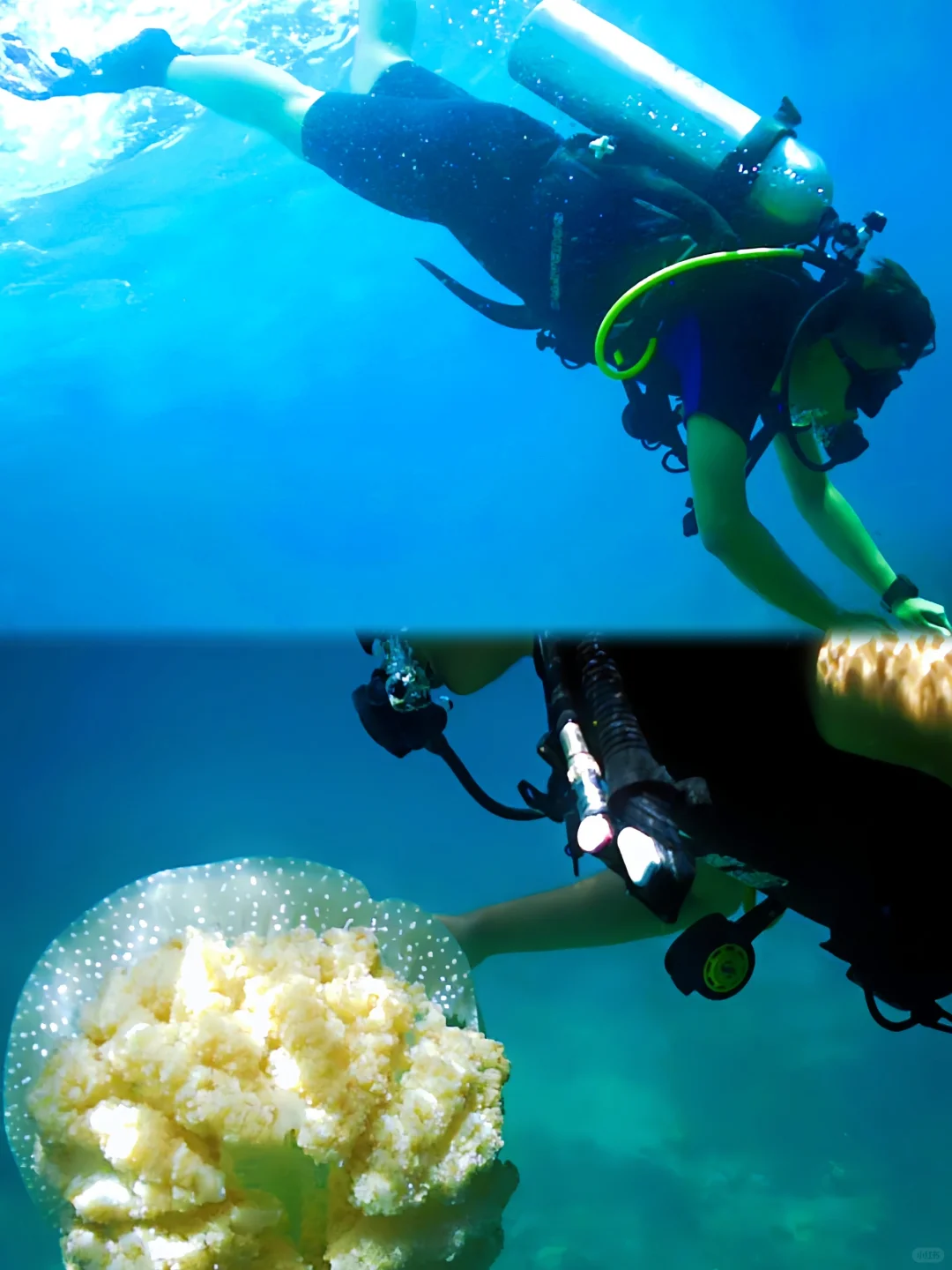 东南亚落地签潜水圣地！越南芽庄三日游攻略