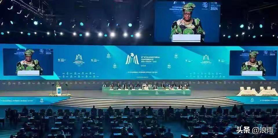 喀麦隆干的漂亮。刚查了一下，喀麦隆不光在会议签证上标注着Taiwan, Prov