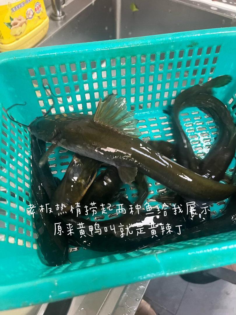 身为资格小镇做题家，几乎立刻爱上了这里，并掌握了本地生存法则，恢复了我的stre