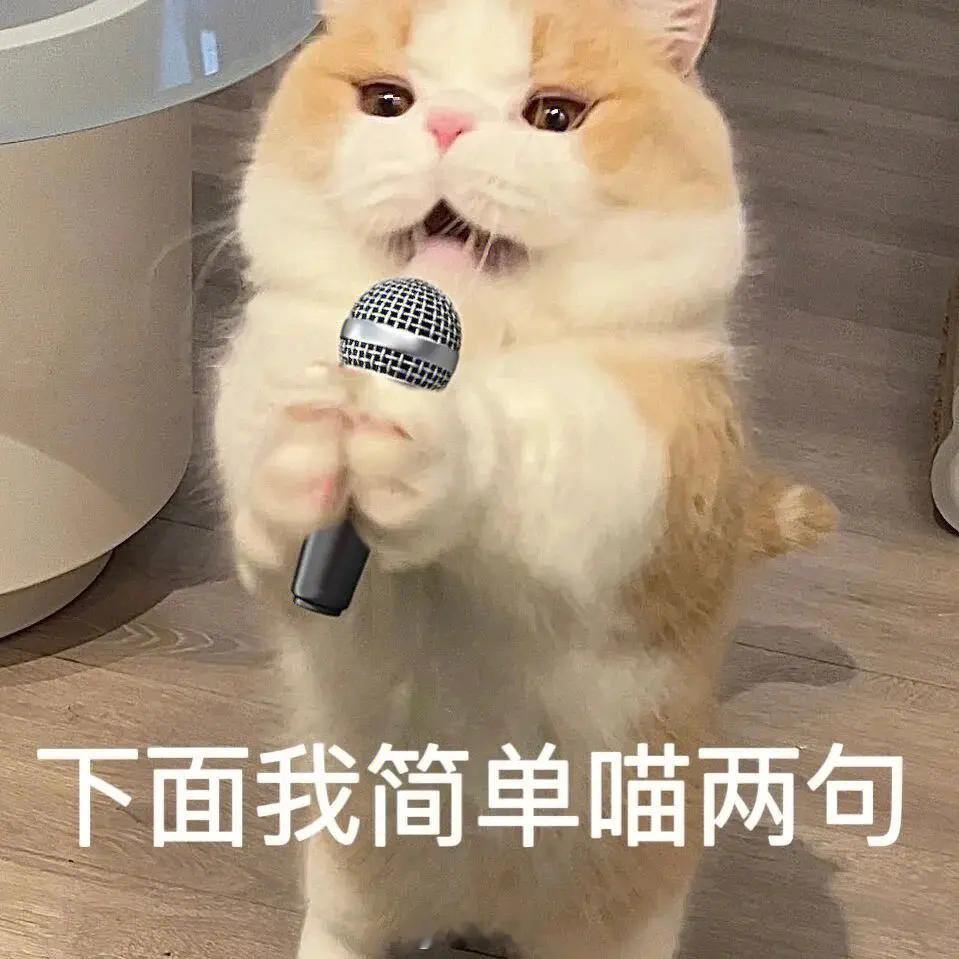 滴，早安卡！昨天看了龙限的预告，家人们有没有心动的？~个人觉得大乔那条簪花的龙还