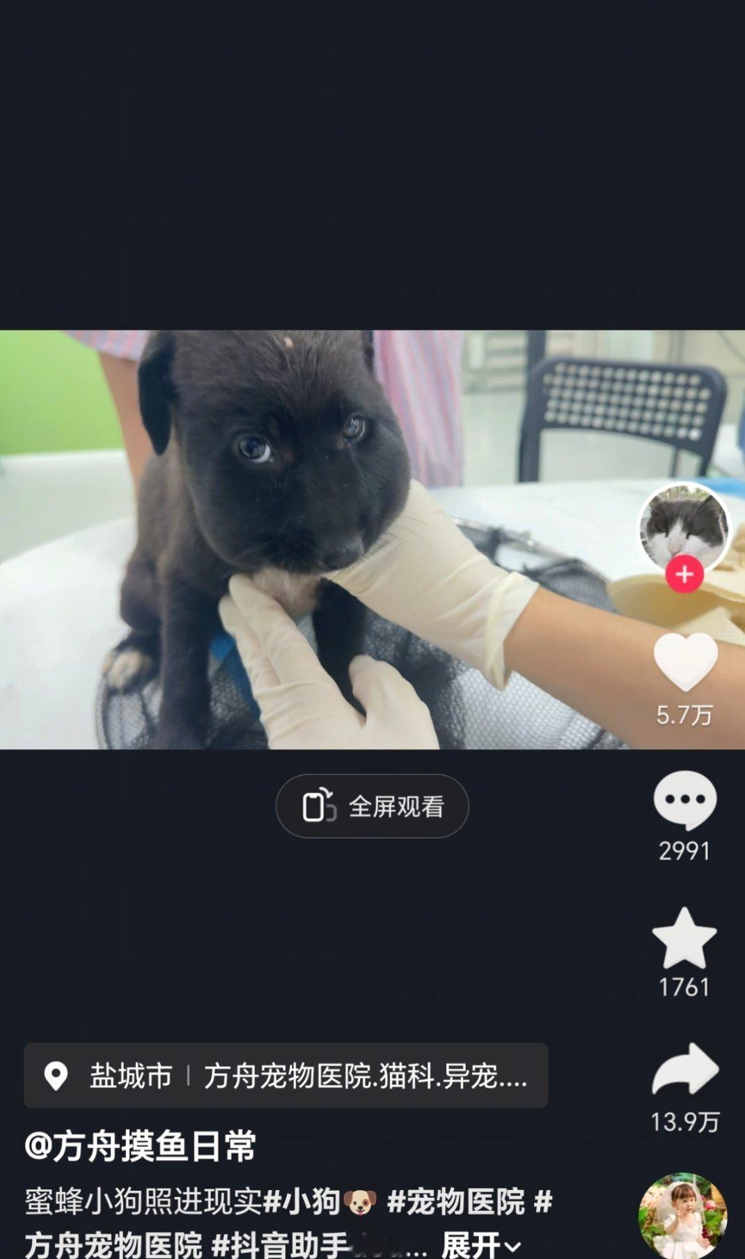 格…格纳布里？ ​​​