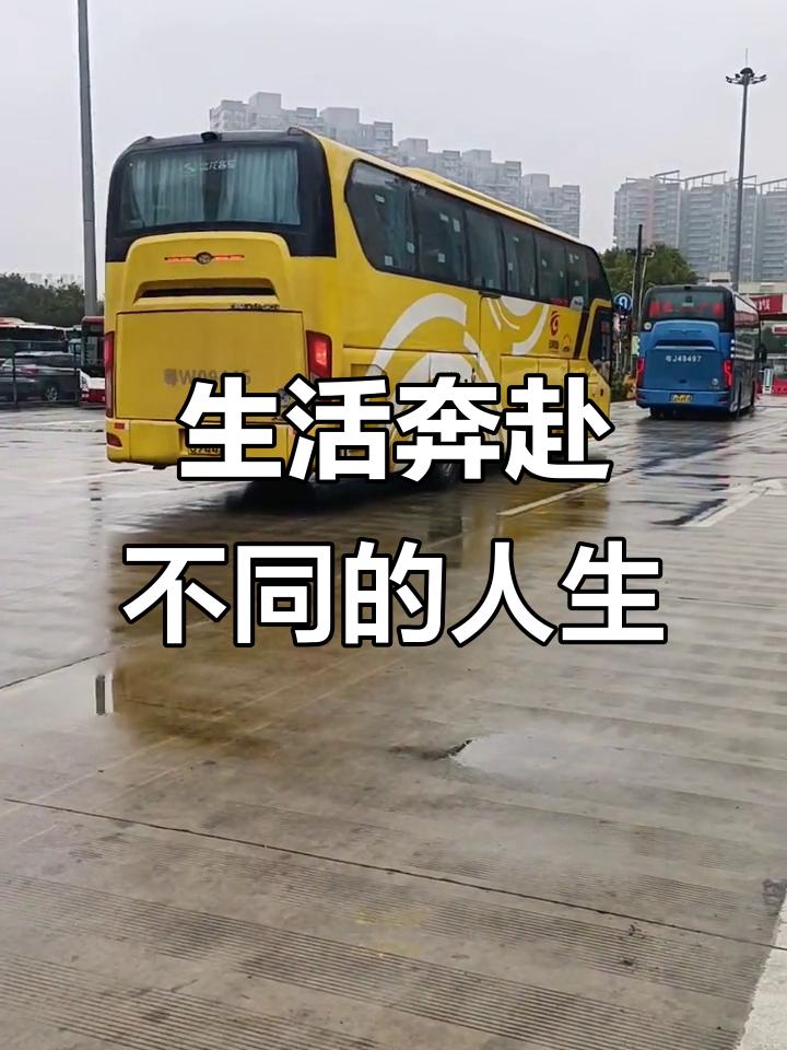 低谷期就像黎明前的黑暗，看似漫长又难熬，但每一秒都在靠近光明。就像史泰龙，当初拿