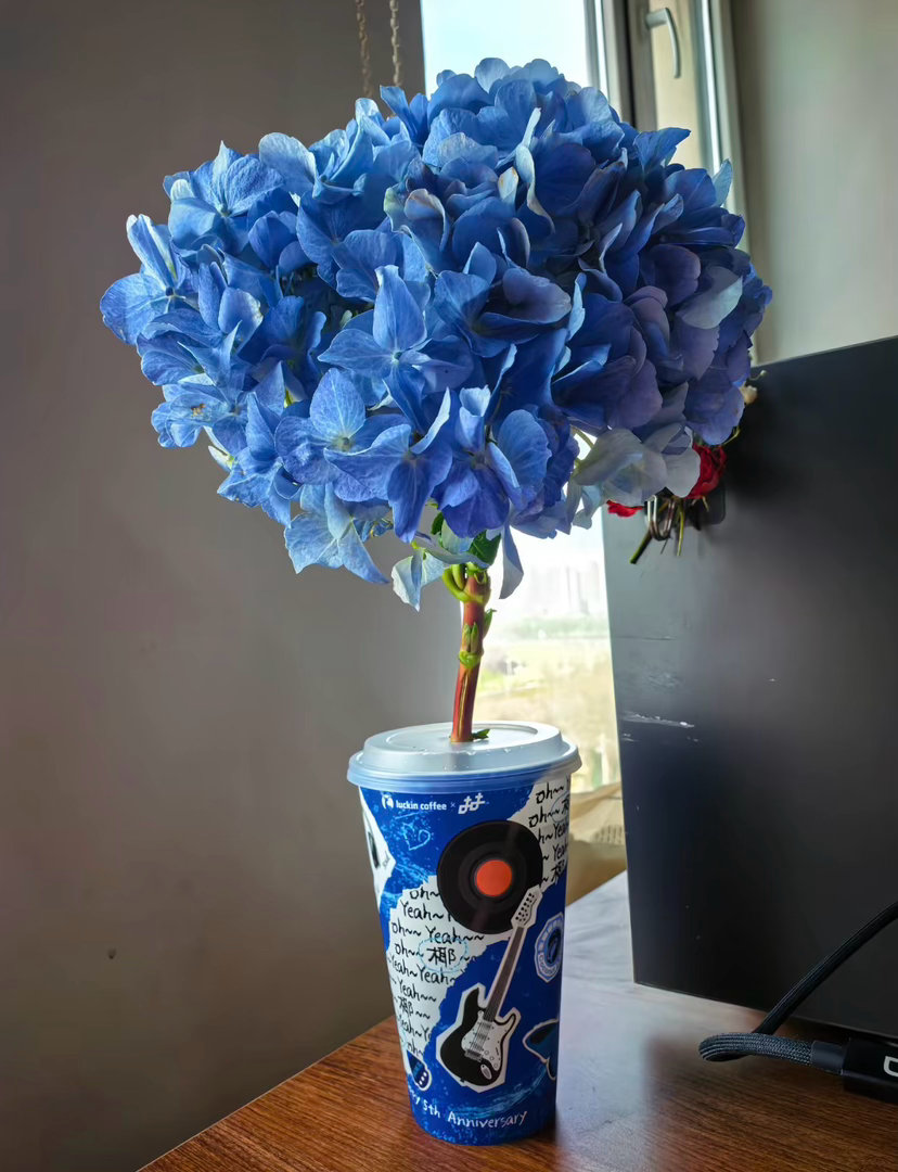 就是一直没拿到过这个杯子 