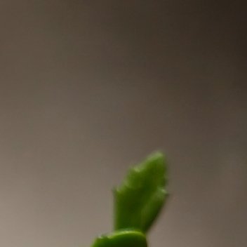 生活，要坚强乐观，该苦的苦，该甜的甜，苦辣酸甜才最平凡；人生，要随遇而安，该丢的