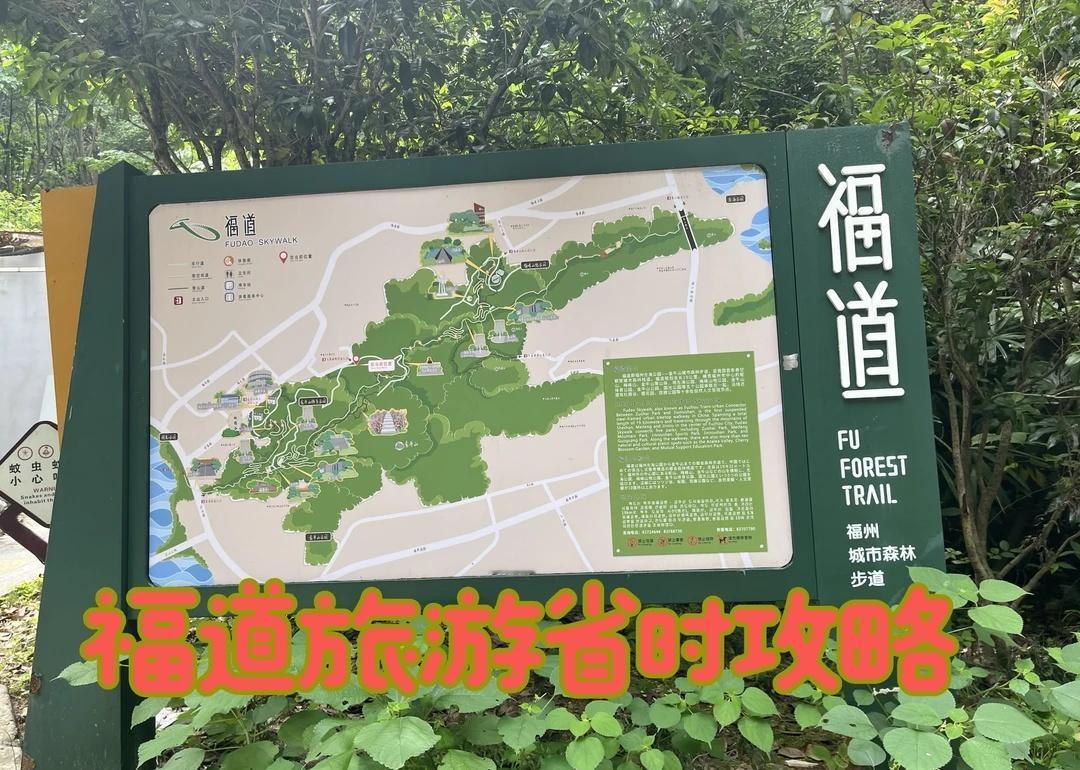 两小时福道旅游攻略
[仙女棒unlock]福道5号口旁～3号口，走走停停两个小时