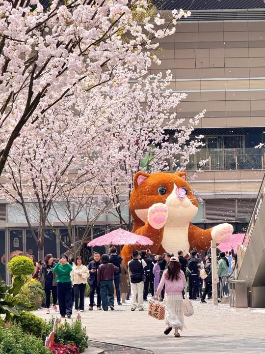 重庆人‼️进来请解释一下。。。。。。。。