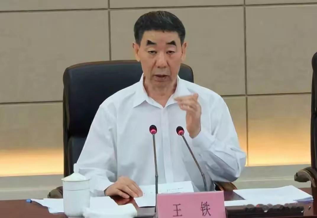相由心生！

长脸，三角眉，蒜头鼻子迷乎眼。

他叫王铁，河南泌阳人。

他从副
