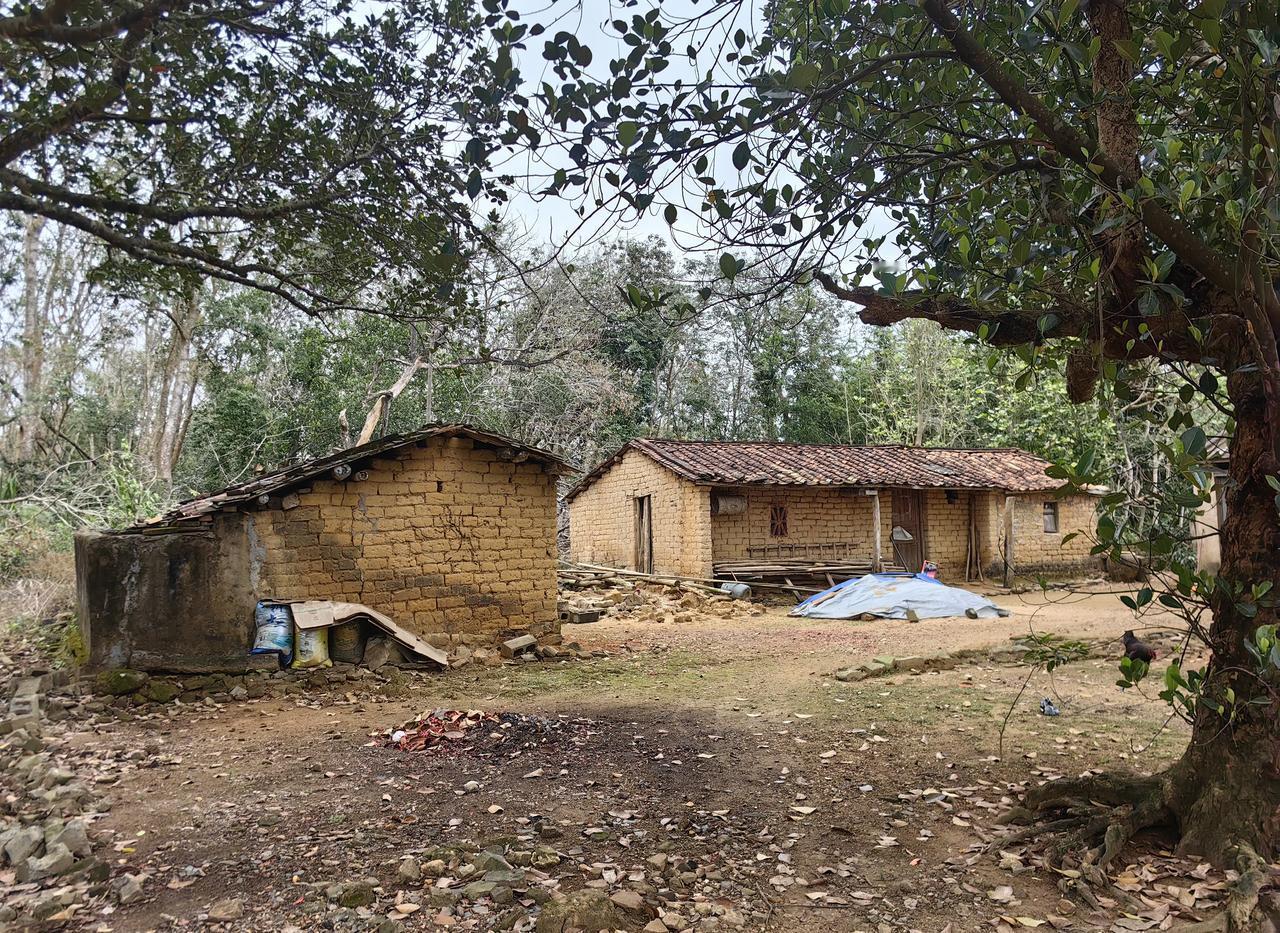 在国内，现在还住这种房子的，一只手应该能数得过来的吧！