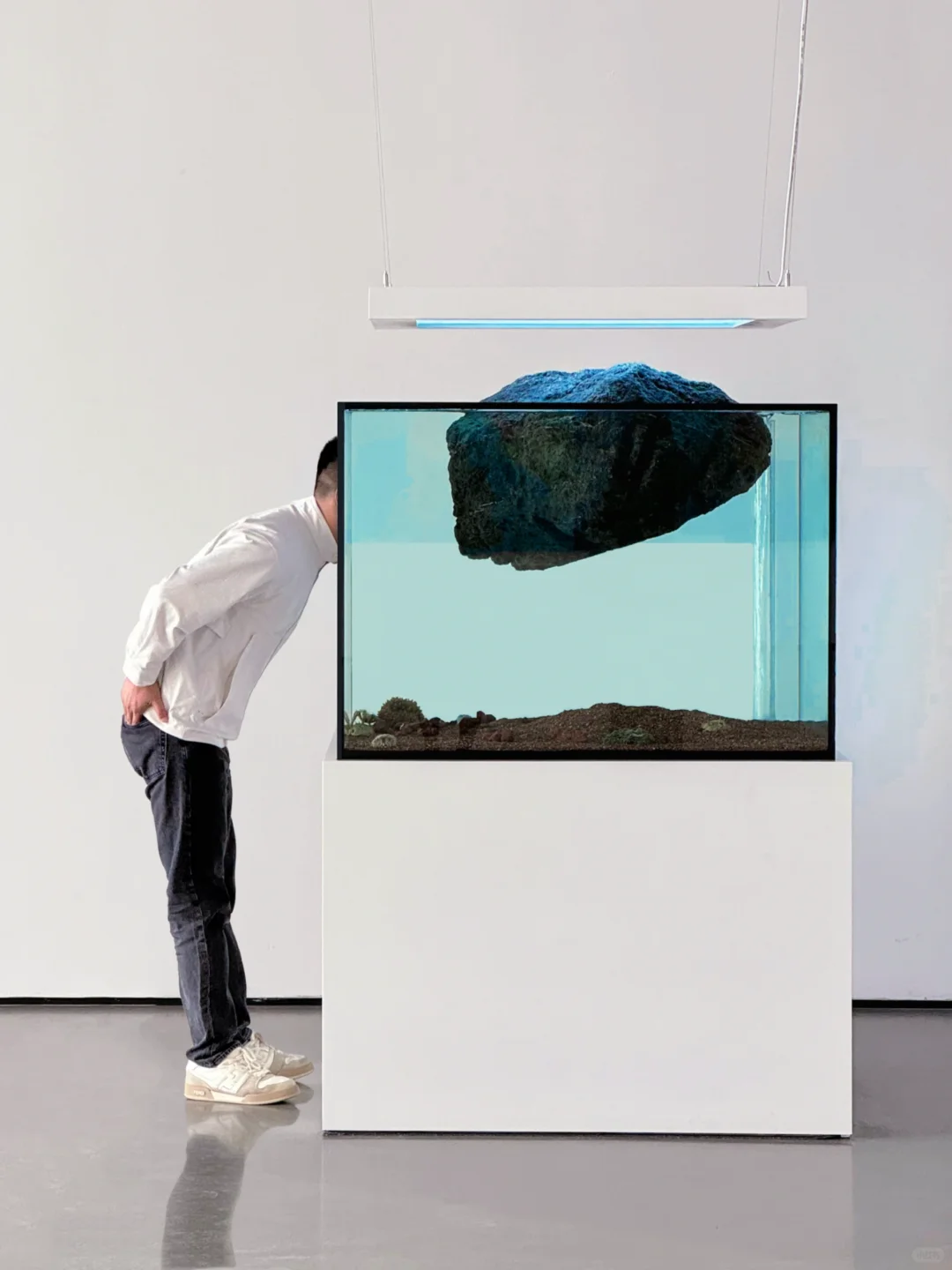 青岛新展｜黄渤竟然第1次在家乡参展