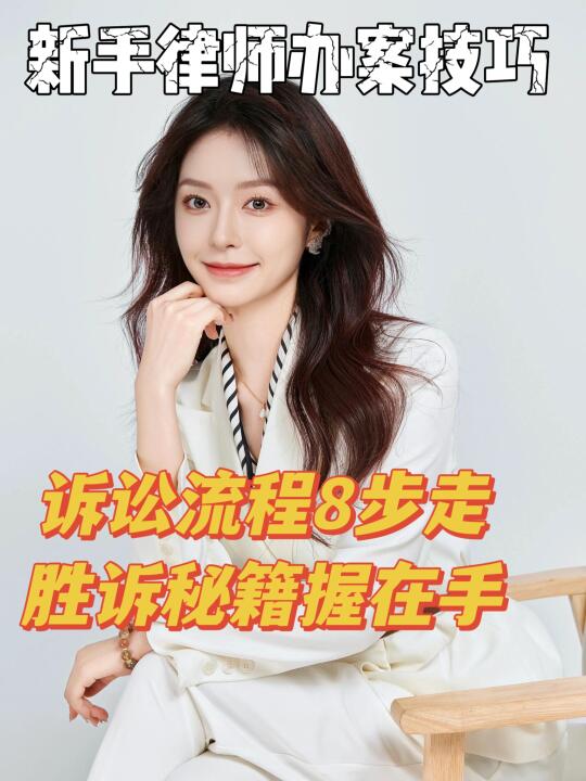 新手律师必看的|诉讼办案流程