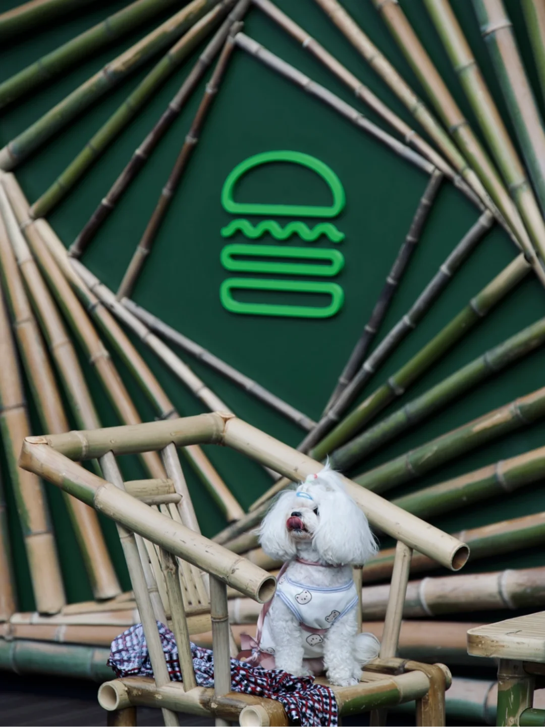 成都打围设计的天花板🍔深得我心太棒了👏