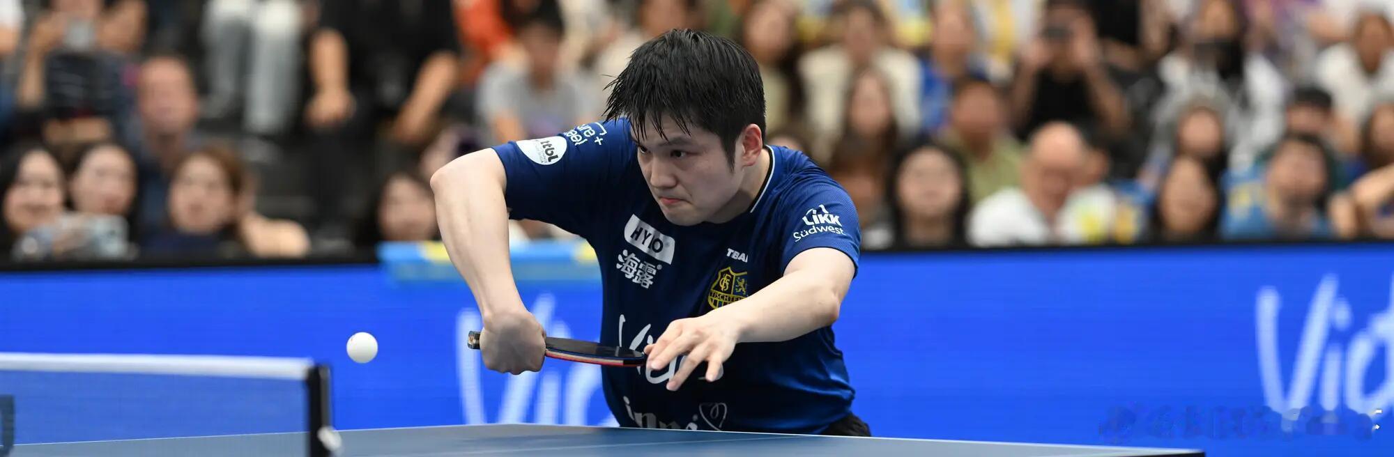 Fan Zhendong's perfect move。 ​​​
