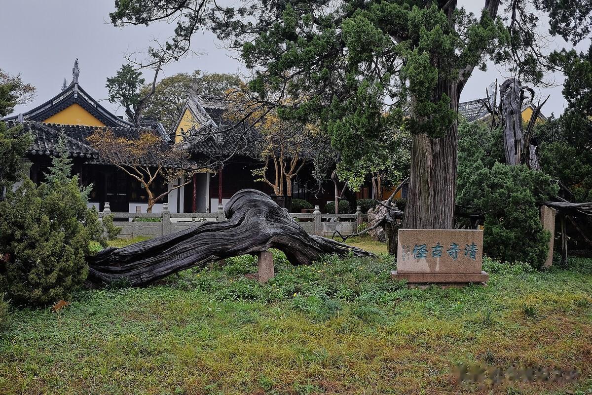 【吴中区的著名景点，清、奇、古、怪，有什么故事？】
吴中区光福镇有一个著名的景点