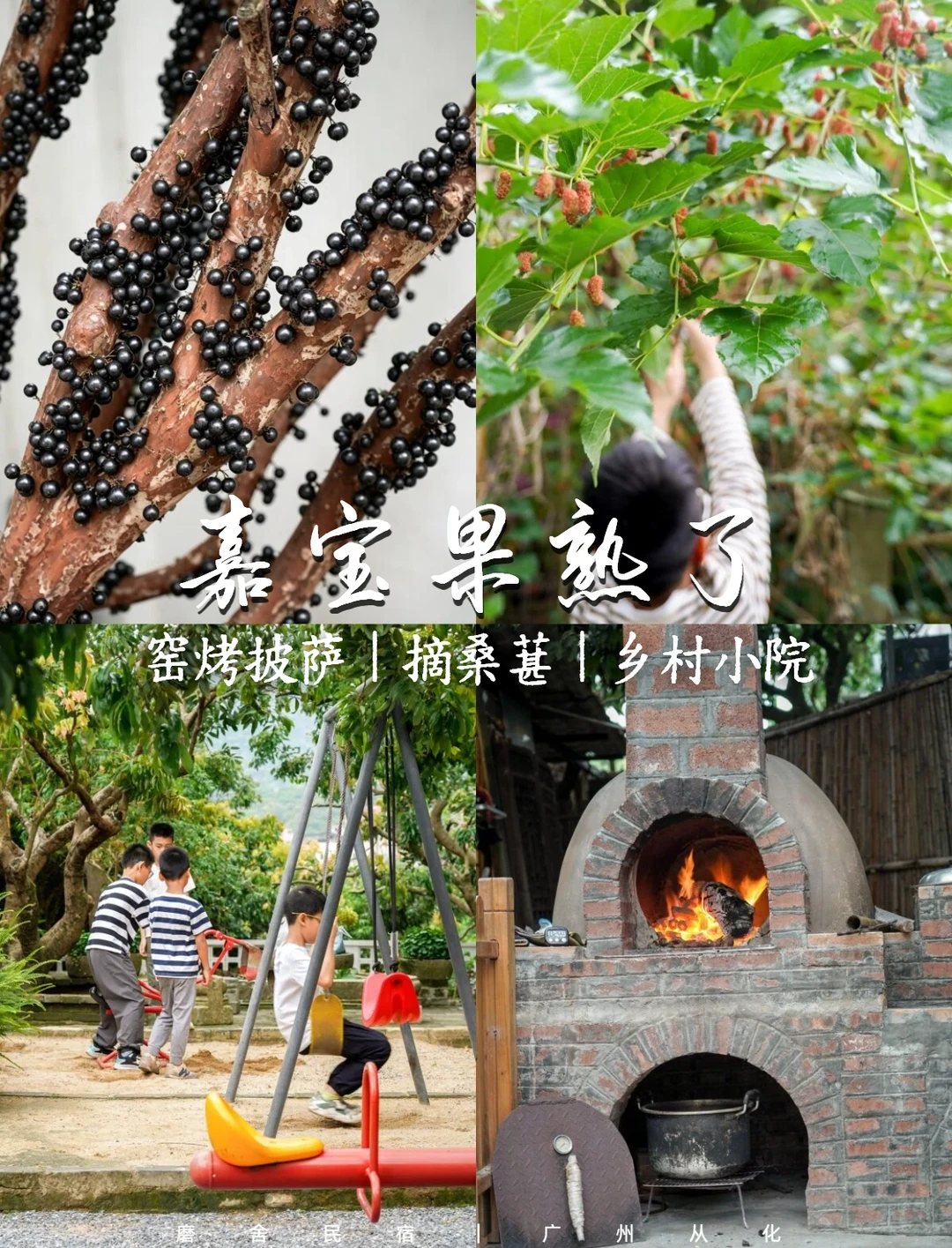 春天的乡村小院，嘉宝果熟了，窑烤开炉了
