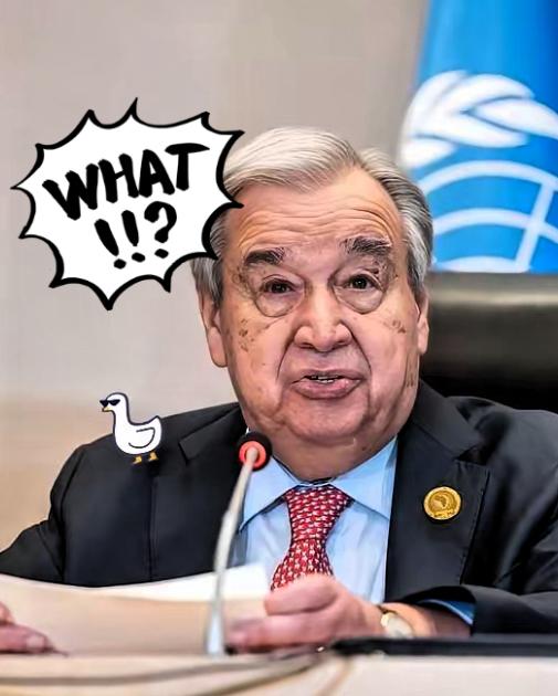 联合国突然宣布了！10月9日，联合国官员宣布，由于资金短缺且美国未来出资存在不确