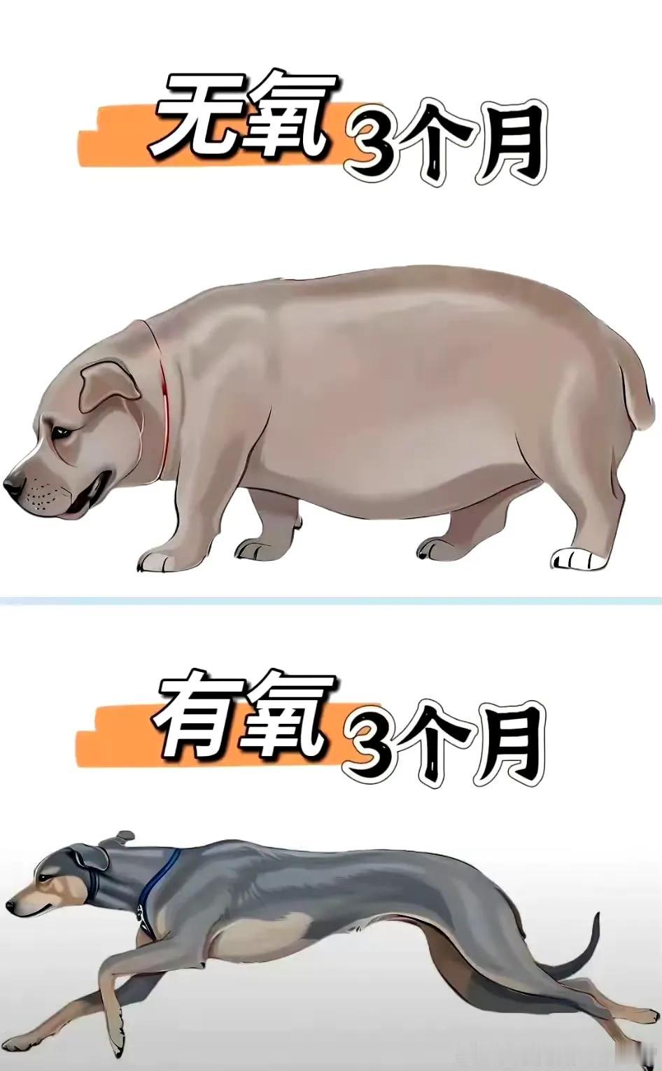 胖瘦这事 80% ，只跟吃有关…… ​