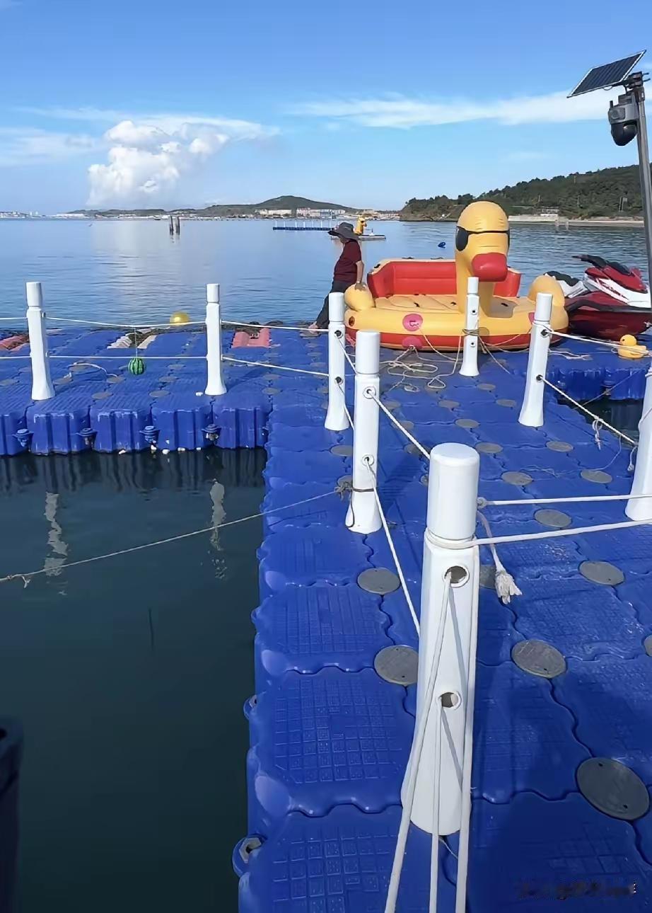 斑海豹娜娜的家空空荡荡的
上午小娜娜一直没有回家
时钟已经超过20多个小时
大家