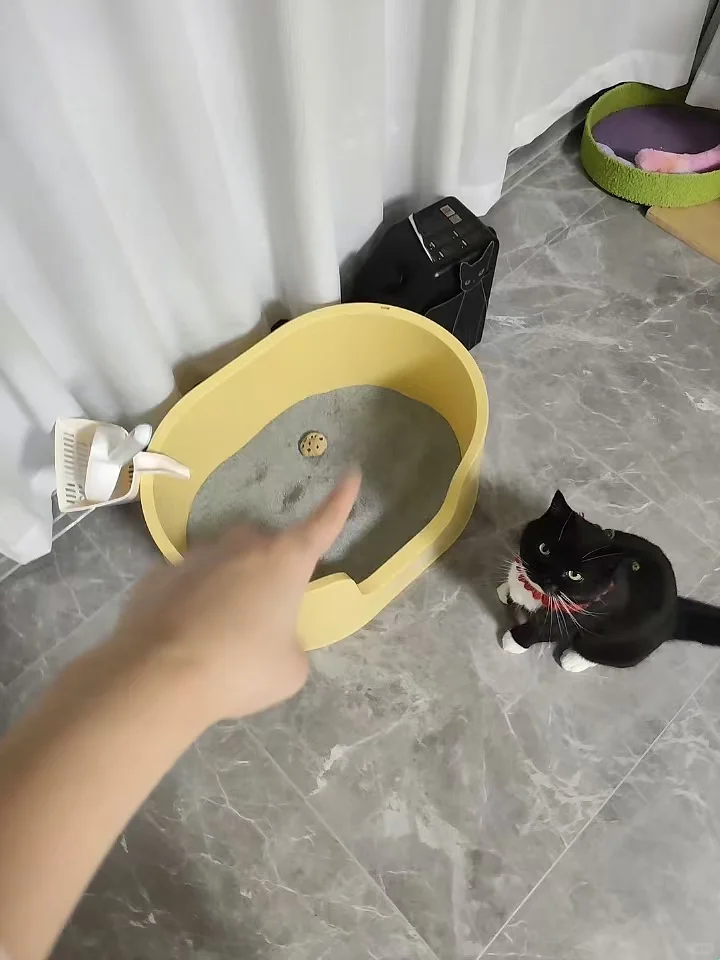 解释一下！你的玩具为什么会在猫砂盆里！！