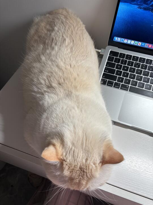 师傅 这里不能停车🅿️