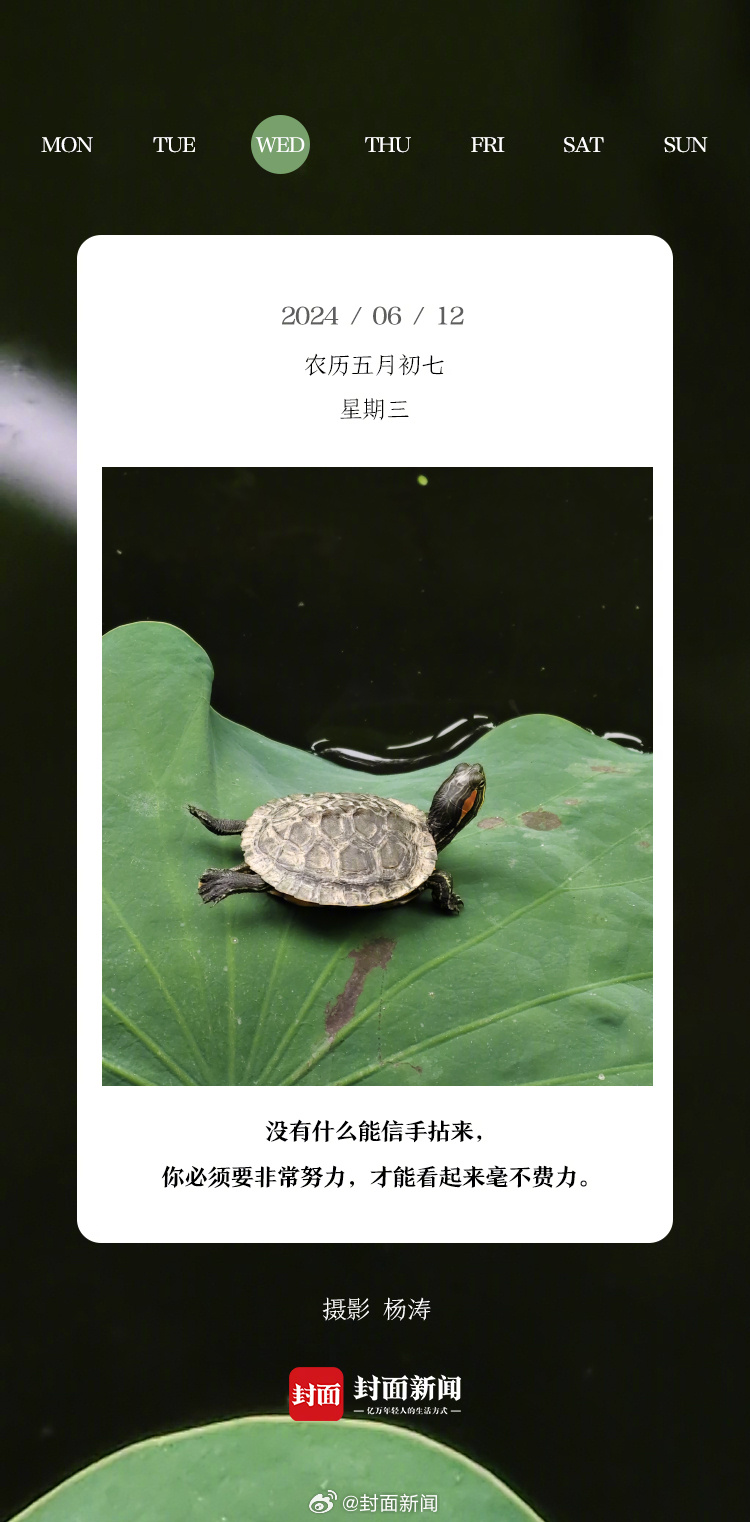 #小封日历# 早安！周三啦！你昨晚睡了多久？[哈欠] ​​​