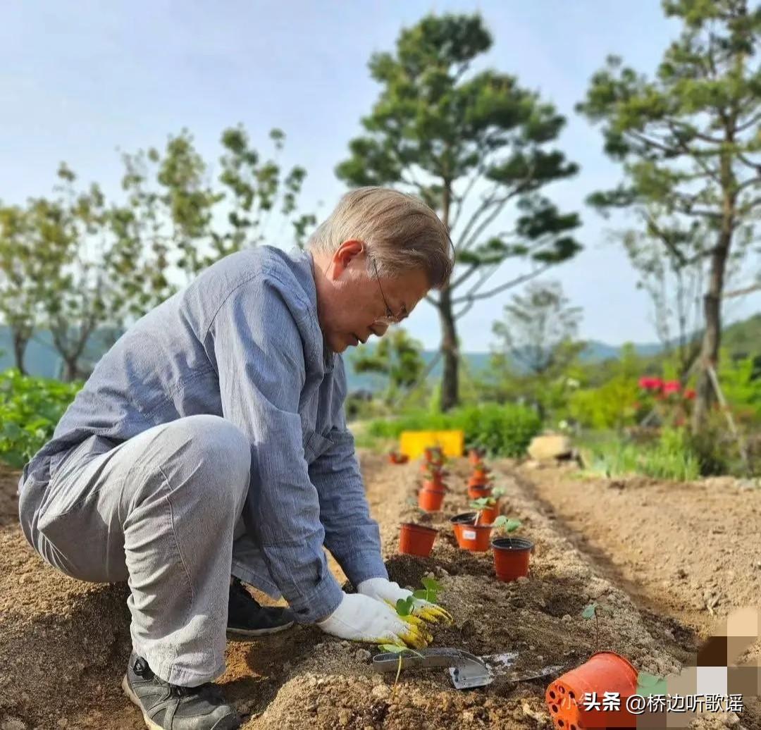 从韩国总统的位置上退休以后，他住在乡下，种菜，开书店，虽然每月领取1400万韩元
