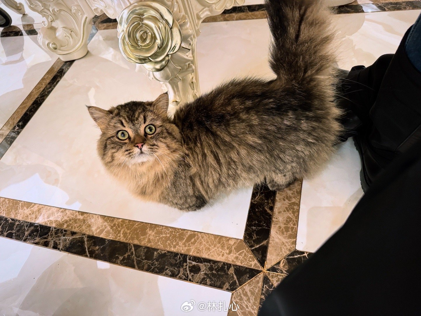 睡醒就要开启工地生活了[泪] ​​​