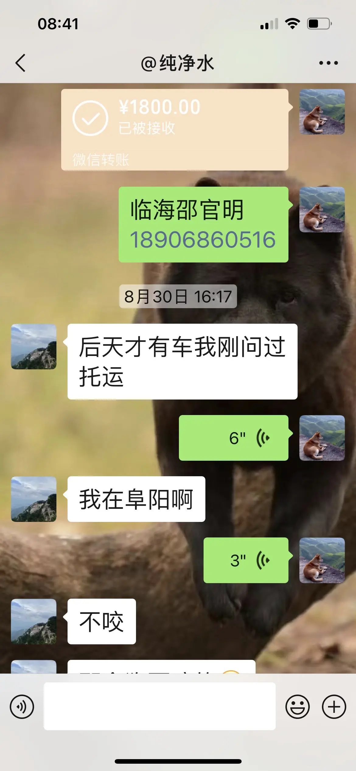 安徽阜阳小王，你的良心一点都不痛吗？奇葩狗贩一点良心都没有了