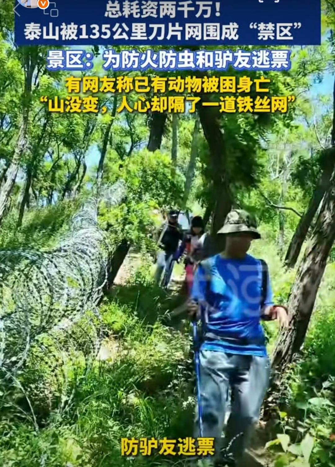 按张维为的说法，森林大山还有我一份呢，我去走两步还不行吗？你算这么多铁丝网，经过