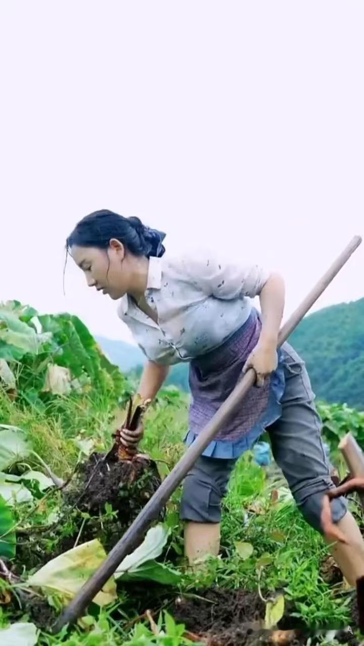 塞鸿秋·乡村五月农忙
五月乡村农事忙，
粗皴老茧耕畴壤。
汗珠洒遍丰年望，
一犁