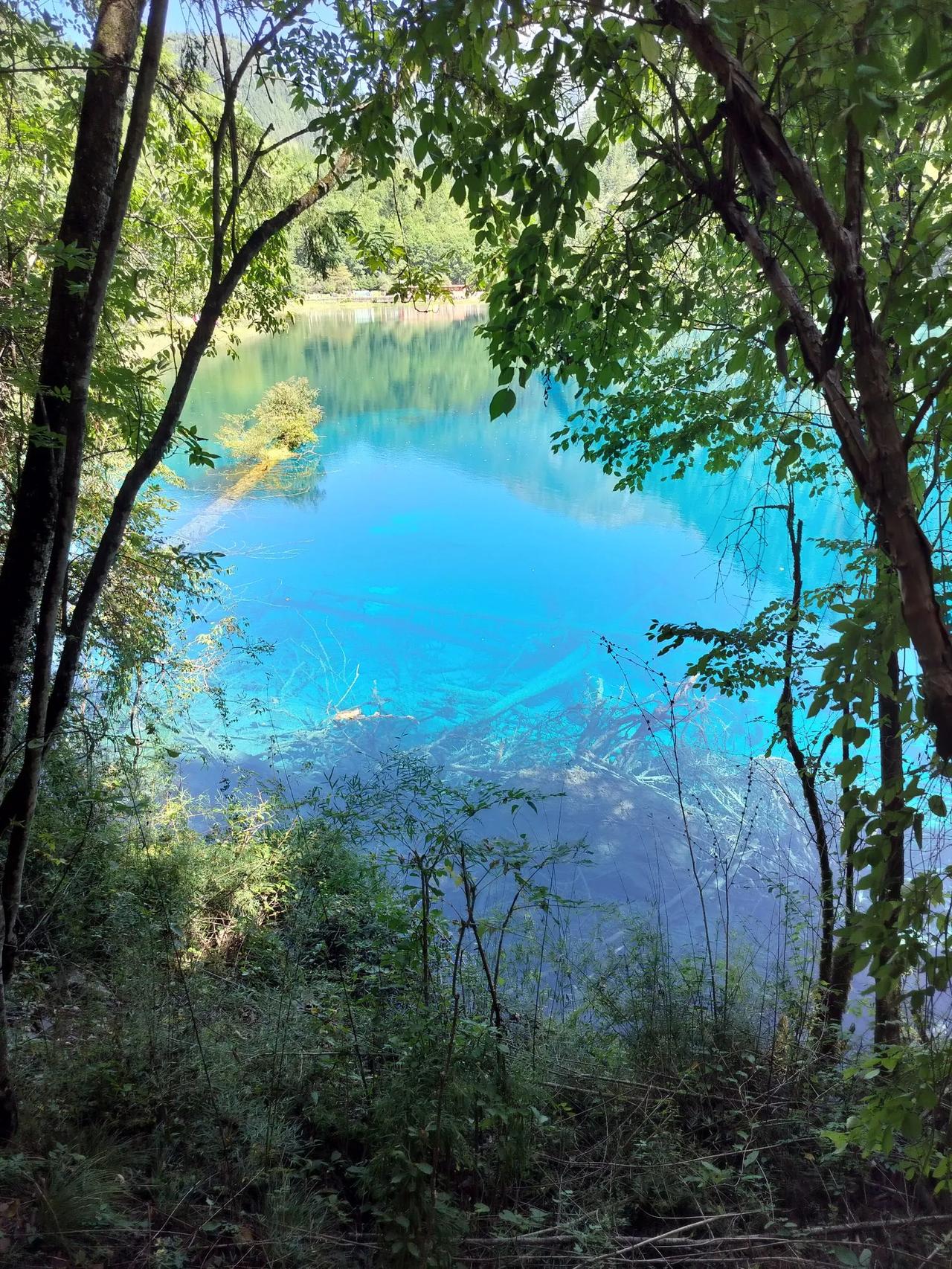 今年春天最想实现的心愿中大乐透一等奖