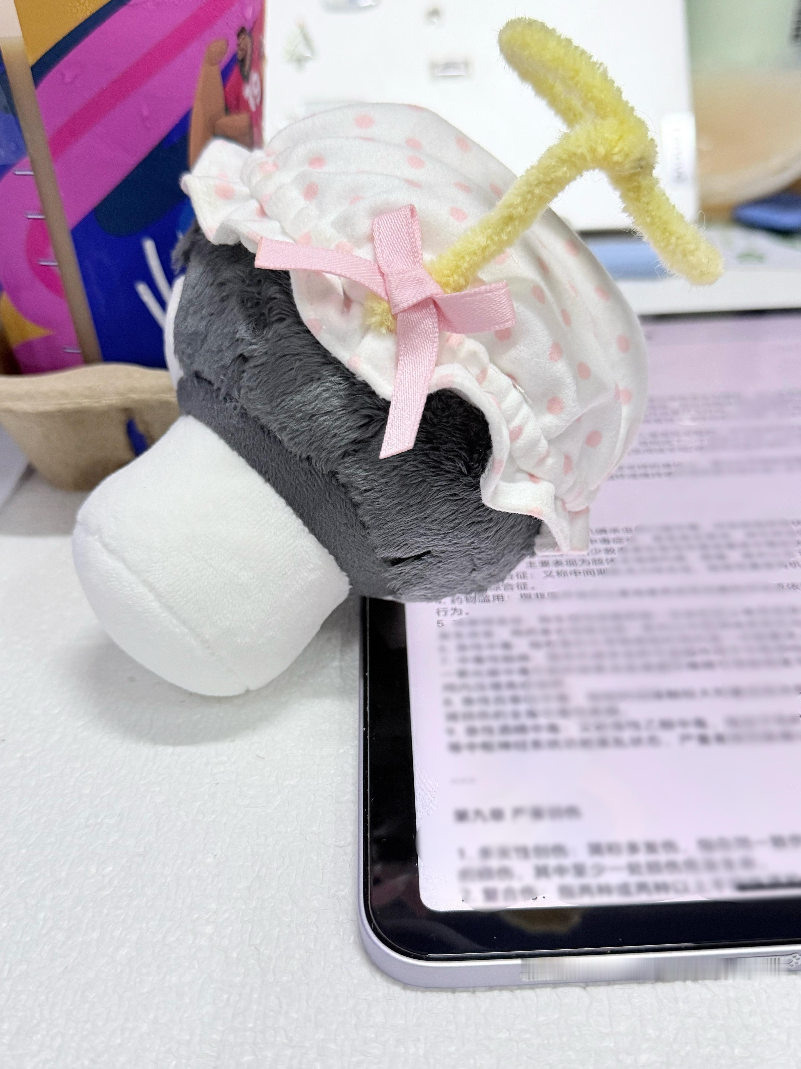 随我 恨海南拍戏恨考试复习 