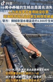 心不是一般的大！广东深圳，一男子养殖的生蚝总是莫名消失，他以为是亲友拿走吃了，就